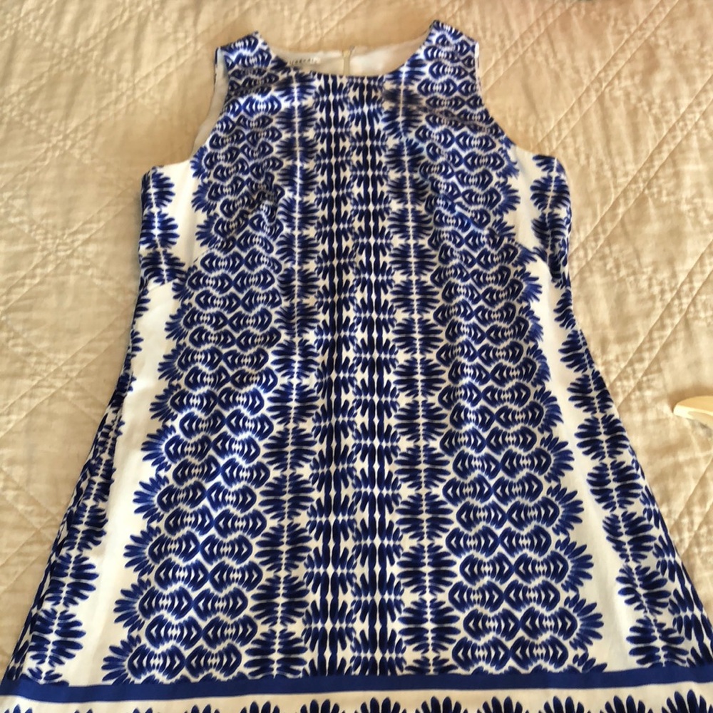 Giving to Goodwill soon. Blue/white dress